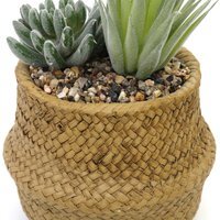 Artificial Cactus Plant, Woven Effect Basket - Natural