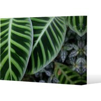 yellow structure in exotic jungle setting Canvas Print - Green / 51cm / 77cm - image 1