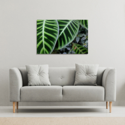yellow structure in exotic jungle setting Canvas Print - Green / 51cm / 77cm - thumbnail 2