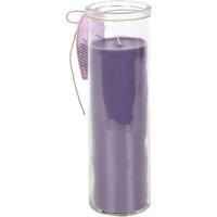 Magical Lavender Tube Candle with Bat Cat Design Burn Time - Purple