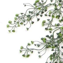 Artificial Hanging Plants Fire Resistant UV Resistant - 75cm Trailing Pearls / 10cm / 75cm - thumbnail 3