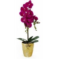 Real Touch Artificial Orchid Plant In Decorative Pot - Dark Pink