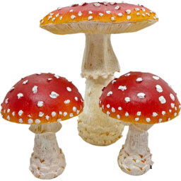 Set 3 Garden Mushroom Toadstool Ornaments - Red - thumbnail 2