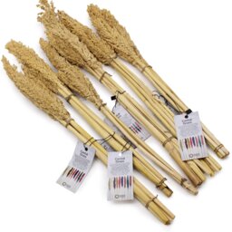 Vibrant Cantal Grass Bunch Natural Dried Coloured Floral Decor - Natural - thumbnail 5