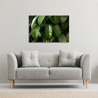 Closeup of beautiful glossy green leaves Canvas Print - Green / 101cm / 127cm - image 1