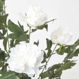 Homescapes Cream Artificial Peony Tree in Black Pot, 100 cm Tall - Cream - thumbnail 2