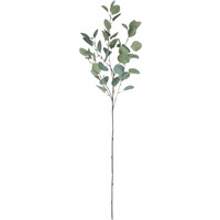 Single Eucalyptus Silver Dollar Stem 90 cm - Green - image 1