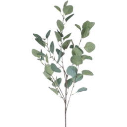 Single Eucalyptus Silver Dollar Stem 90 cm - Green - thumbnail 2
