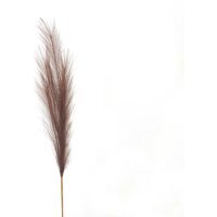 Taupe Faux Pampas Grass Stem - Brown