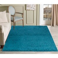 Desire Rugs Plain Living Room Fluffy Shaggy Area Rugs - Teal / 60x110