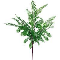 Himilayan Maidenhair Fern Bush Dark Green Plant - Green