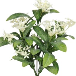 UV Indoor, Outdoor Everlast Star Flower Plant - Green - thumbnail 3