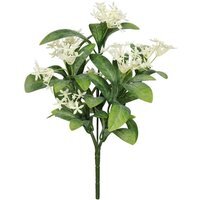 UV Indoor, Outdoor Everlast Star Flower Plant - Green