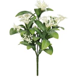 UV Indoor, Outdoor Everlast Star Flower Plant - Green - thumbnail 2