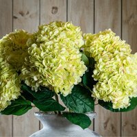 Oversized Hydrangea Realistic Botanical Flower Decor - Green - thumbnail 1