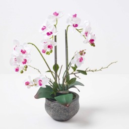 Homescapes 52cm Lifelike Artificial White Orchid in Grey Cement Pot - White - thumbnail 3