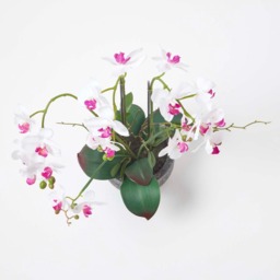 Homescapes 52cm Lifelike Artificial White Orchid in Grey Cement Pot - White - thumbnail 4