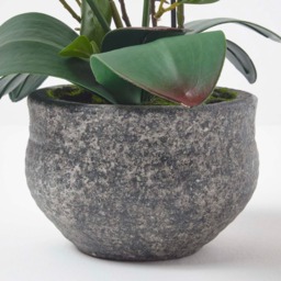 Homescapes 52cm Lifelike Artificial White Orchid in Grey Cement Pot - White - thumbnail 5
