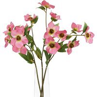 Wyld Haus Set of 3 Pink Variegated Artificial Hellebore Stems - Pink