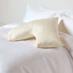 Homescapes Organic Egyptian Cotton V Shaped Pillowcase - Cream - thumbnail 2