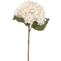 Balmoral Silk Hydrangea Stem 45cm - Cream - thumbnail 1