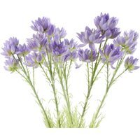Pack of 6 x Purple Starflower Stem - 30 Flowers - 6 x 60cm Purple Starflower