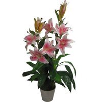 Artificial Lily Stargazer Style Lillies Plant Large Flowers - Pink Lily