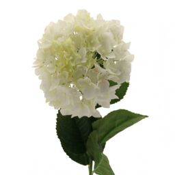 Artificial Silk Hydrangea Single Stem - Cream - thumbnail 2