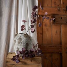 Burgundy Berried Eucalyptus Seasonal Accent - Burgundy - thumbnail 4