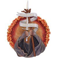 Lord of the Rings You Shall Not Pass Wall Plaque - 30cm - image 1