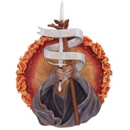Lord of the Rings You Shall Not Pass Wall Plaque - 30cm - thumbnail 2