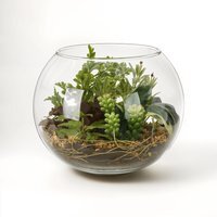 Fiori Large Terranium - Clear