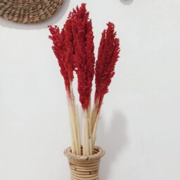 Vibrant Cantal Grass Bunch Sustainable Floral Decor - Red - thumbnail 2