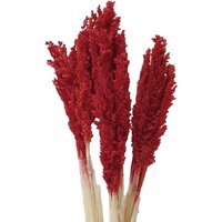 Vibrant Cantal Grass Bunch Sustainable Floral Decor - Red