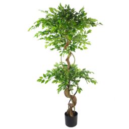 Twisted Trunk Artificial Japanese Fruticosa Ficus Tree Rainbow Planter - Twisted Large Rainbow - thumbnail 2