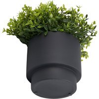 Grass in Black Pot - Black - image 1