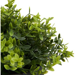 Grass in Black Pot - Black - thumbnail 3