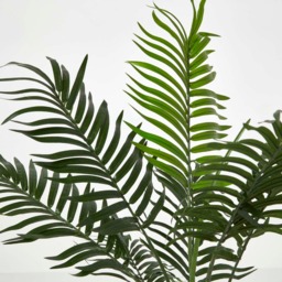 Homescapes Green Mini Palm Tree Artificial Plant with Pot, 70 cm - Green - thumbnail 4