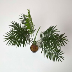 Homescapes Green Mini Palm Tree Artificial Plant with Pot, 70 cm - Green - thumbnail 2