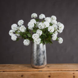 Viburnum Opulus Faux Botanical for Nature Inspired Decor - White - thumbnail 3