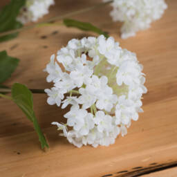 Viburnum Opulus Faux Botanical for Nature Inspired Decor - White - thumbnail 5