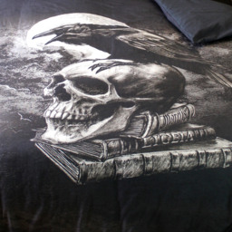 Alchemy Poe's Raven Duvet Cover Set Gothic Skull - Black / Double - thumbnail 2