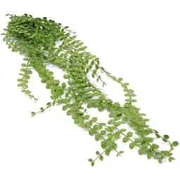 Artificial Hanging Plants Fire Resistant UV Resistant - 92cm Pearl String / 92cm / 5cm - thumbnail 2