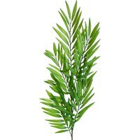 Bamboo Fern Stem - Bamboo Fern