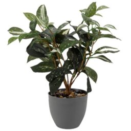 Artificial Japanese Laurel Plant - Green & Grey - thumbnail 2