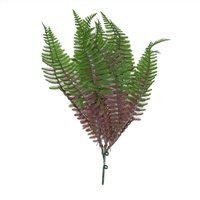 Purple Shady Fern 2 Pack Ferns - Purple