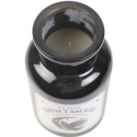 Mystic Raven Deadly Nightshade Candle Gothic Apothecary Scent - Black