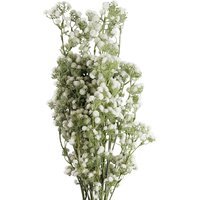 Bunch of Gypsophila Artificial Flowers Stems - Gypsophila White
