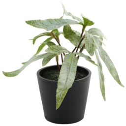 Mini Artificial Potted House Plant - Pteris / Plastic, Polyester / Pteris - thumbnail 2