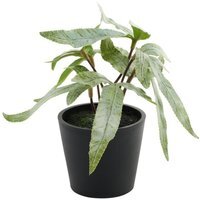 Mini Artificial Potted House Plant - Pteris / Plastic, Polyester / Pteris - thumbnail 1
